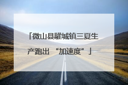 微山县驩城镇三夏生产跑出 “加速度”